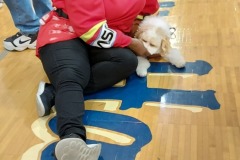 woman petting white dog on floor