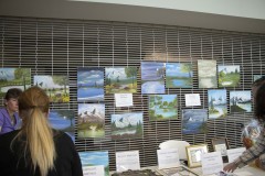 IMG_5698
