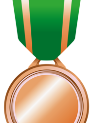 Bronze Medal with green holder