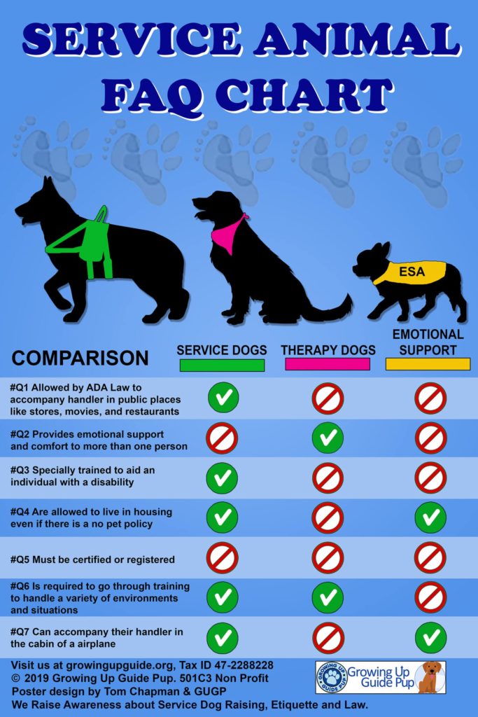 Service Dog Chart showing the 3 types of abilities - service, therapy and emotional